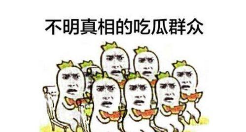 吃瓜群众代号9527,揭秘吃瓜群众的神秘面纱